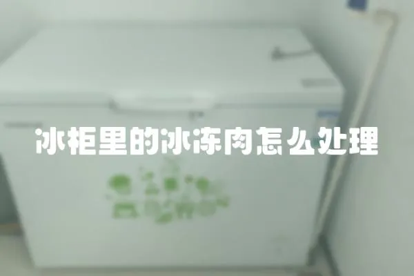 冰柜里的冰凍肉怎么處理