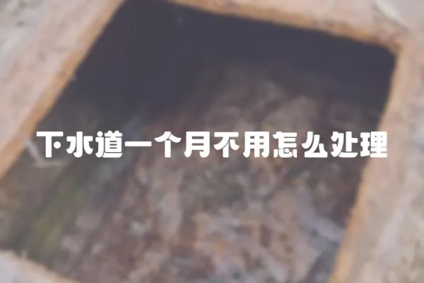 下水道一個月不用怎么處理