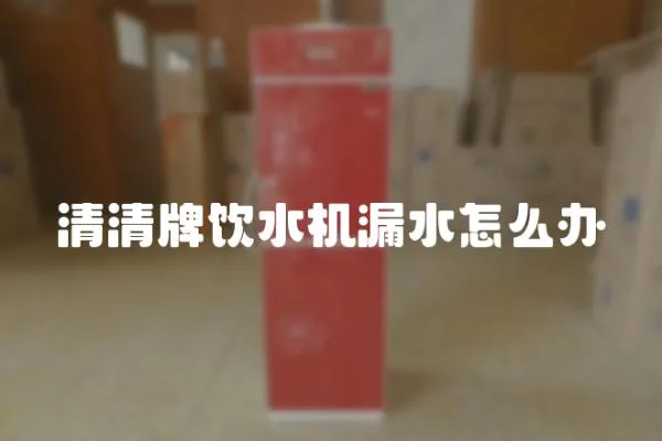 清清牌飲水機漏水怎么辦