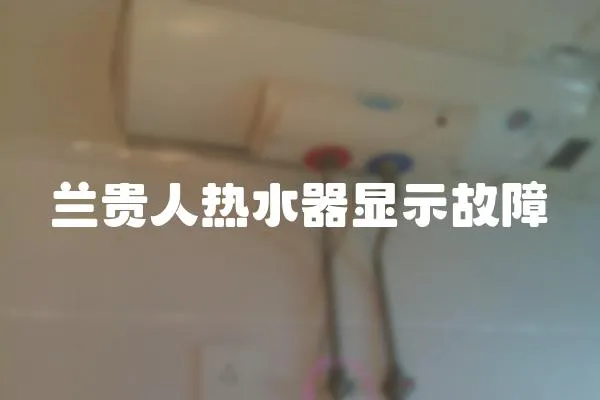 蘭貴人熱水器顯示故障