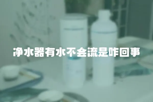 凈水器有水不會流是咋回事