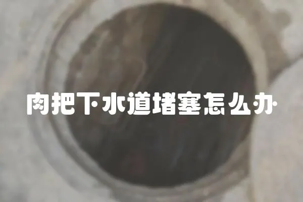 肉把下水道堵塞怎么辦