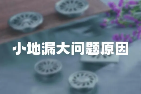 小地漏大問題原因