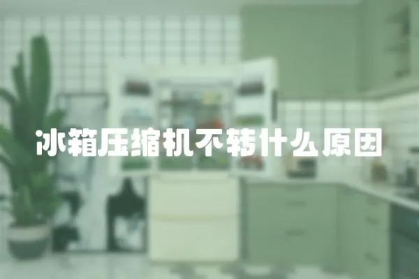 冰箱壓縮機(jī)不轉(zhuǎn)什么原因