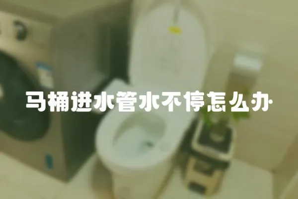馬桶進水管水不停怎么辦
