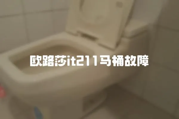歐路莎it211馬桶故障