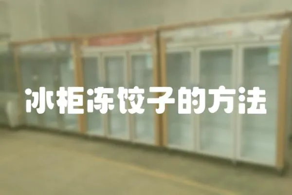 冰柜凍餃子的方法