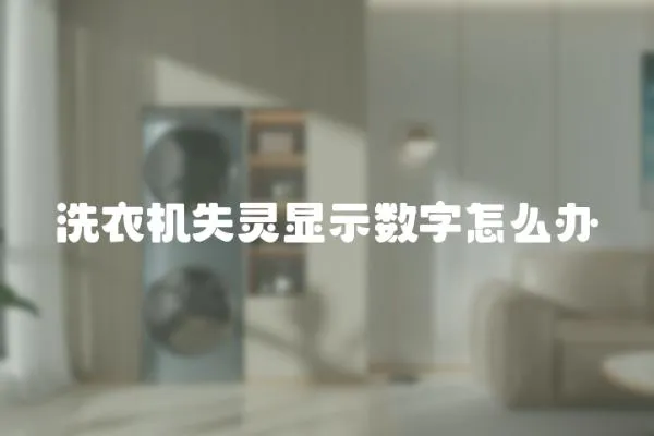洗衣機失靈顯示數字怎么辦