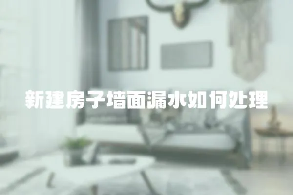 新建房子墻面漏水如何處理