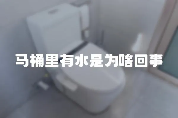 马桶里有水是为啥回事