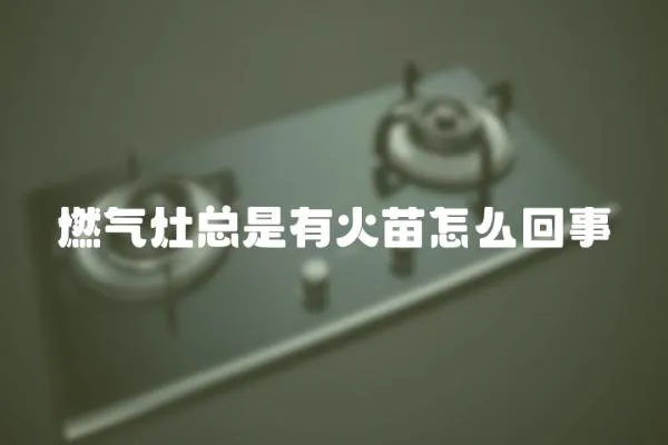 燃氣灶總是有火苗怎么回事