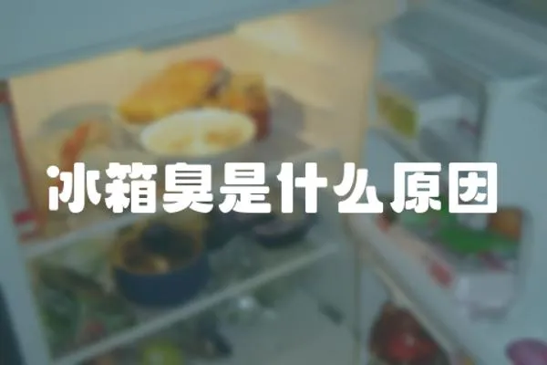 冰箱臭是什么原因