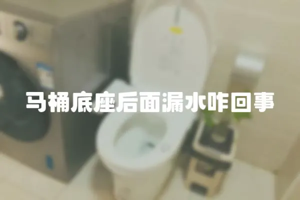 馬桶底座后面漏水咋回事
