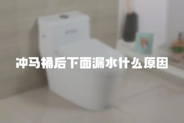 沖馬桶后下面漏水什么原因