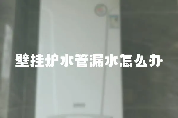 壁掛爐水管漏水怎么辦