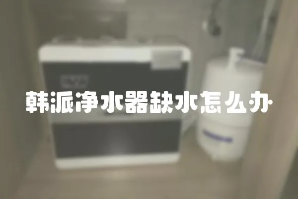 韓派凈水器缺水怎么辦