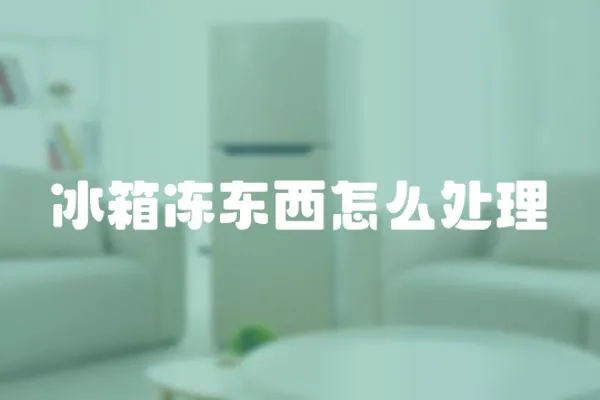 冰箱凍東西怎么處理