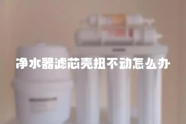 凈水器濾芯殼扭不動怎么辦