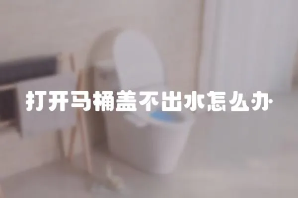 打開馬桶蓋不出水怎么辦