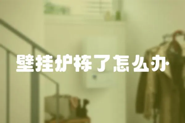 壁掛爐棟了怎么辦