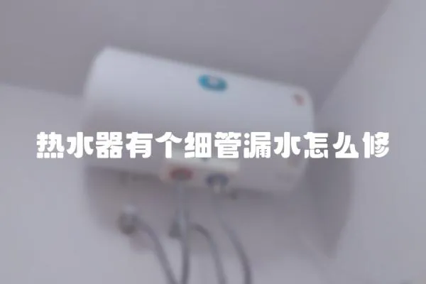 熱水器有個細管漏水怎么修