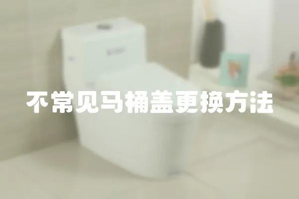 不常見馬桶蓋更換方法