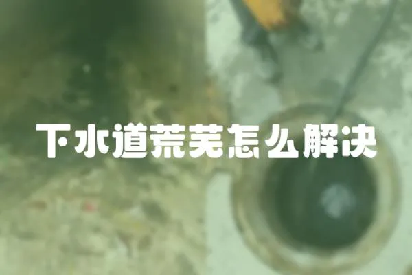下水道荒蕪怎么解決