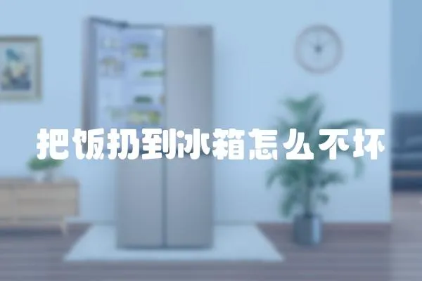 把飯扔到冰箱怎么不壞