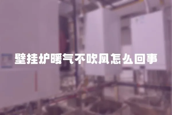壁掛爐暖氣不吹風怎么回事