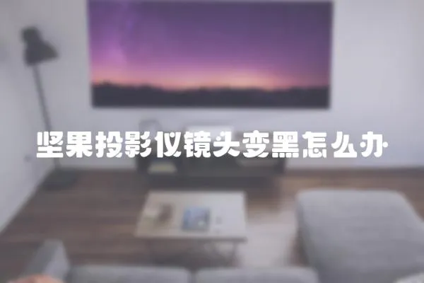 堅果投影儀鏡頭變黑怎么辦