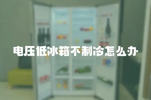 電壓低冰箱不制冷怎么辦