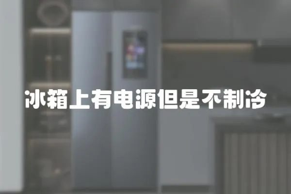 冰箱上有電源但是不制冷