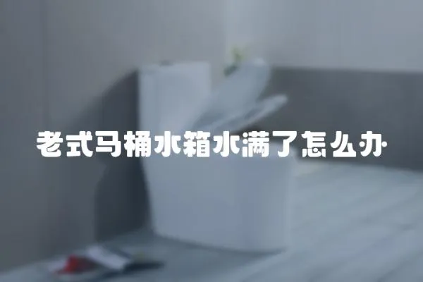 老式馬桶水箱水滿了怎么辦