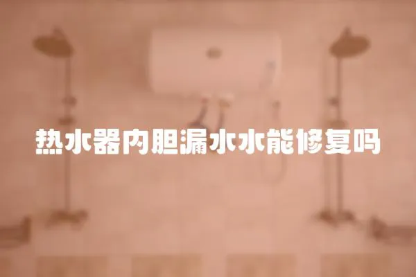 熱水器內(nèi)膽漏水水能修復(fù)嗎