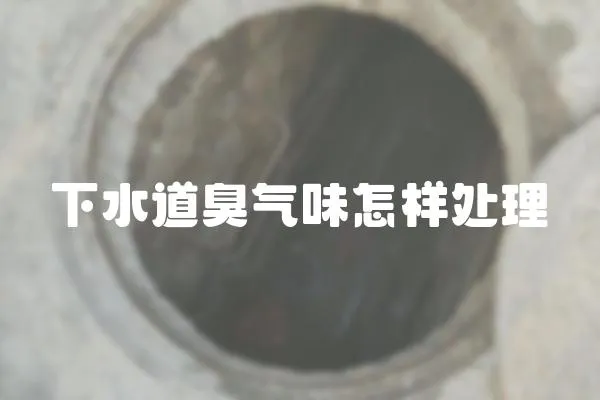 下水道臭氣味怎樣處理