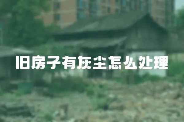 舊房子有灰塵怎么處理