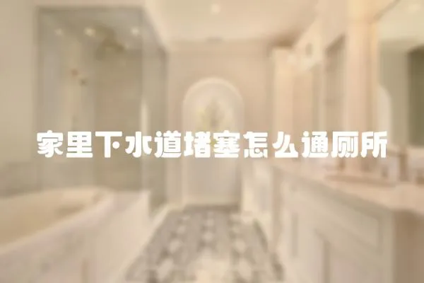 家里下水道堵塞怎么通廁所