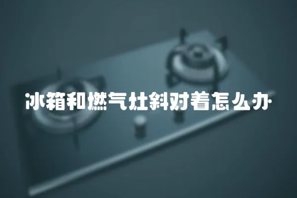 冰箱和燃气灶斜对着怎么办