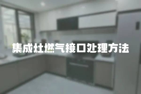 集成灶燃?xì)饨涌谔幚矸椒?></a></div>
                    <div   id=