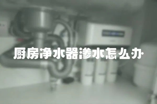 廚房凈水器滲水怎么辦