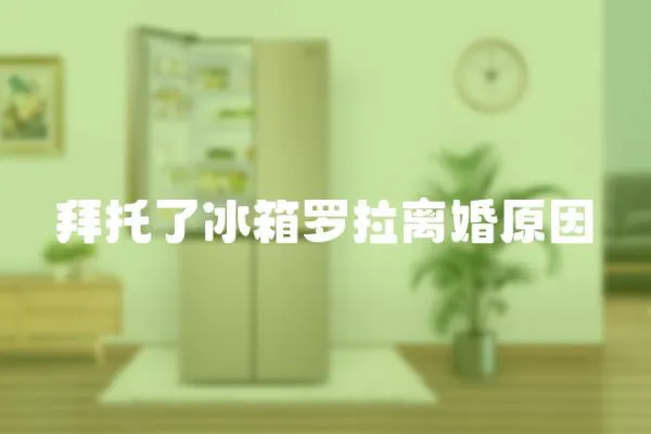 拜托了冰箱羅拉離婚原因