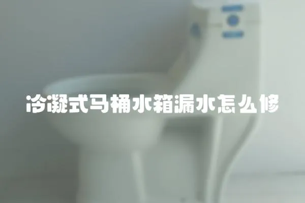 冷凝式馬桶水箱漏水怎么修