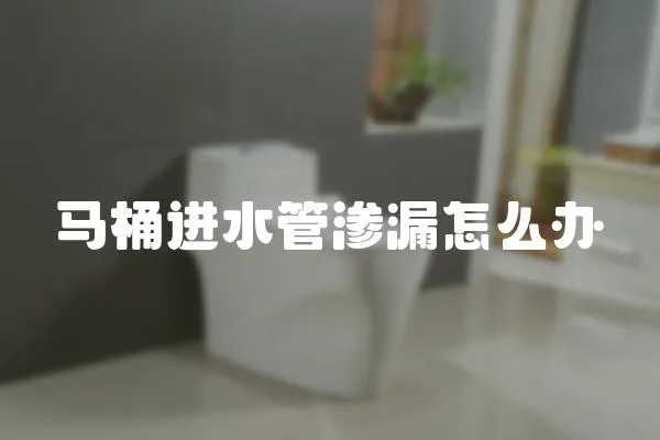 馬桶進(jìn)水管滲漏怎么辦