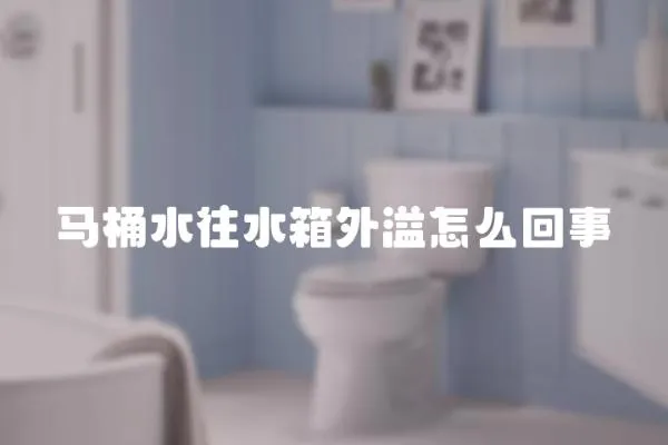 馬桶水往水箱外溢怎么回事