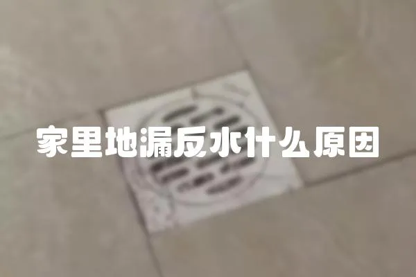 家里地漏反水什么原因