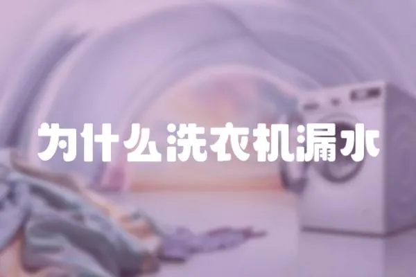 為什么洗衣機漏水