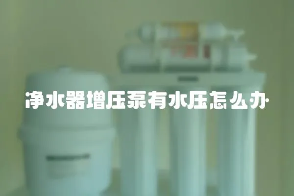 凈水器增壓泵有水壓怎么辦