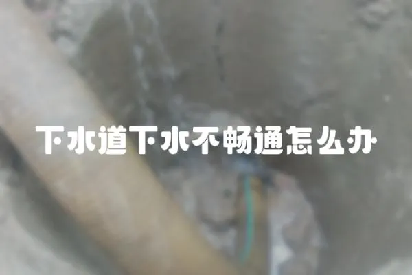 下水道下水不暢通怎么辦