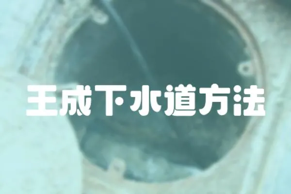 王成下水道方法