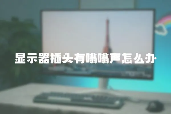 顯示器插頭有嗡嗡聲怎么辦